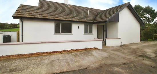 Bungalow to rent in Stanhope Gardens, Holsworthy EX22