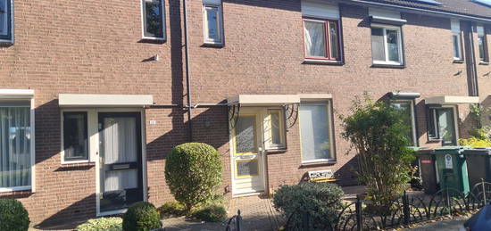 Spechtstraat 24