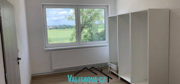 Pronájem bytu 1+1 39 m²