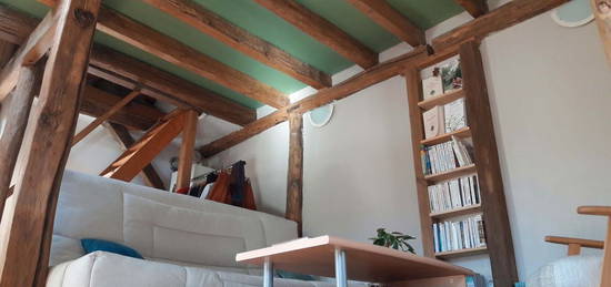 Superbe appartement mezzanine de 40m²