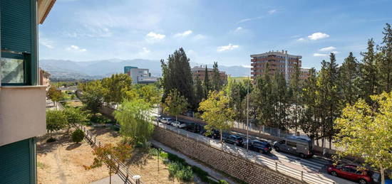 Piso en venta en Santa Rosalia, Barrio de Zaidín