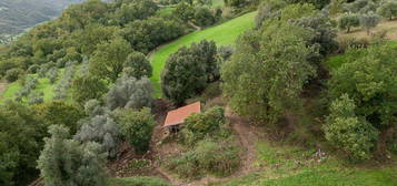 Rustico via della Lanna, Contigliano