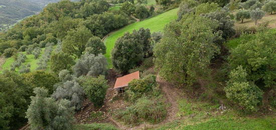 Rustico via della Lanna, Contigliano