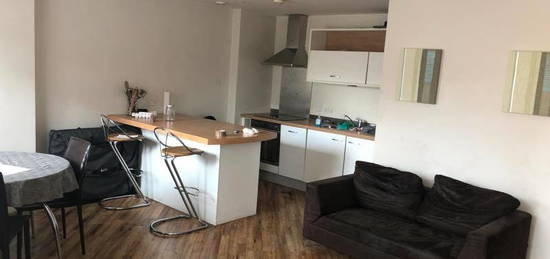 1 bed flat to rent