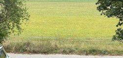 Reihenendhaus mit großem Garten in Zossen zu vermieten