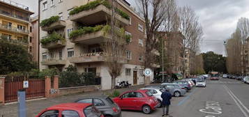 Bilocale viale Carso, Mazzini - Delle Vittorie, Roma