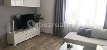 Pronájem bytu 2+1 58 m², Mánesova, České Budějovice