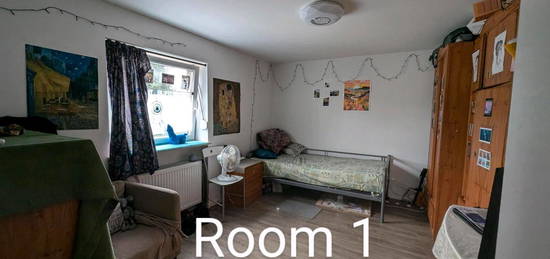 Spacious room for rent in female 3-wg