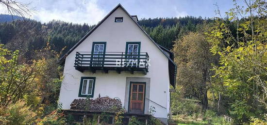 Einfamilienhaus in ländlicher Lage