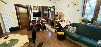 Apartament la casa,central, pet friendly, mobilat si utilat