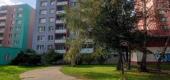 Pronájem bytu 1+kk 24 m²