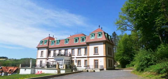 Altbau-Villa in idylischer Lage am Park, Loftartige 3ZI mit Grünblick, PP