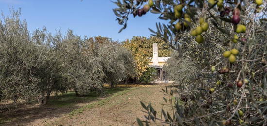 Finca rústica en venta en La Zubia Ciudad