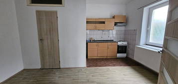 Pronájem bytu 1+1 40 m² (Jednopodlažní)