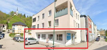 Neuwertige 9-Zimmer-EG-Wohnung mit Terrasse und EBK in Helpfau