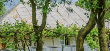 Casa batraneasca cu anexe in Horlaceni,Botosani.