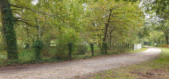 Havre de paix au milieu des bois