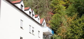 2 Zimmerwohnung mit Blick in die Natur, zentrumsnah