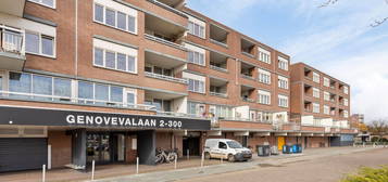 Genovevalaan 224