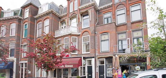 Aert van der Goesstraat