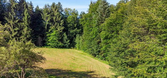 Ruhige Alleinlage Nähe Graz mit Waldbestand