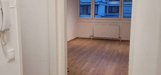 Neu renovierte Garconniere in Nonntal zu vermieten