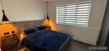 1 bedroom flat share