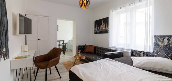 *Neu renoviert* - vollmöbliertes Premium-1-Zimmer-Apartment