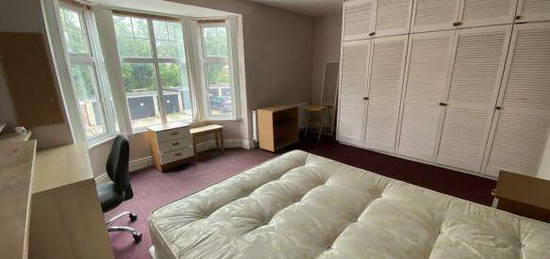 1 bedroom house share