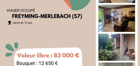 IDEAL INVESTISSEUR - Viager occupé Freyming-Merlebach (57)