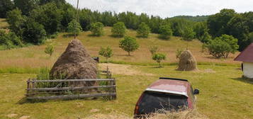 vând teren cu casa și pădure in Sângeorz-Băi