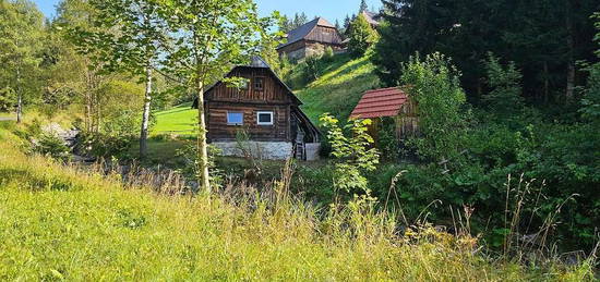 "AUSZEIT in der Natur" Ferienhaus im Lachtal