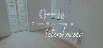 Kernsanierte 1-Zimmer-Wohnung in zentraler Lage von Petershausen