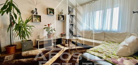 Apartament cu 3 camere , decomandat, pet friendly, calea ...