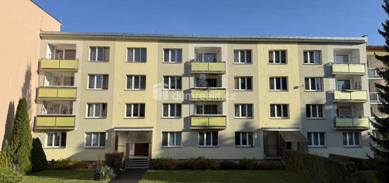 Byt 2+1, 62 m², Mánesova, Mariánské Lázně