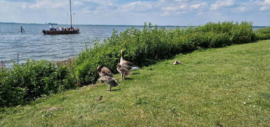 STEINHUDER MEER- 3 Zim.-Erdgeschosswohnung m. Garten