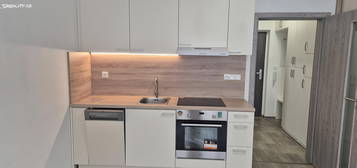 Pronájem bytu 1+kk 31 m²