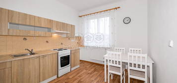 Pronájem bytu 2+1 48 m²