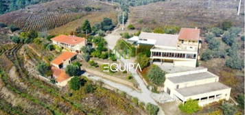 Quinta da Constainça, na Região demarcada do Douro - Alijó - Vila R