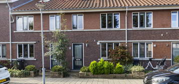 Anijsstraat 11