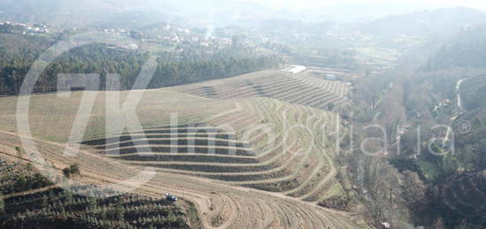 Quinta de Produção Vinícola 12ha, Amarante