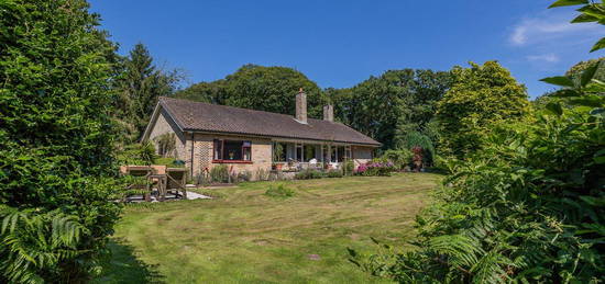 Detached bungalow for sale in Wayford, Norwich NR12