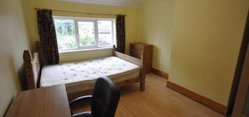 3 bed property to rent