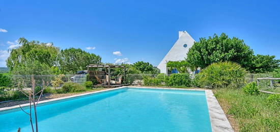 Maison de Gardian contemporaine en petite Camargue