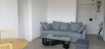 Location appartement 2 pièces 39 m²