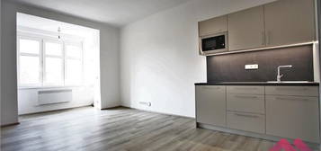 1+kk, 32m2, hezký zařízený byt, klidná lokalita, P-6 Dejvice ul Zelená