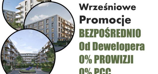 Katowice Paderewskiego Sikorskiego ogród 30m2