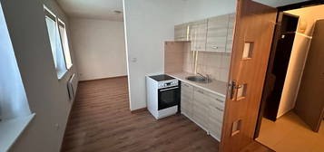 Pronájem bytu 1+kk 36 m² (Jednopodlažní)