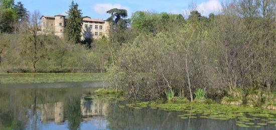 Somptueux appartement de 181m' dans un château Monument Historique