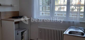 Pronájem bytu 1+kk 24 m², Říčanova,